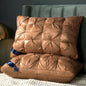 Buy 1 Get 1 Free Hotel Quality Pillows (2-Pack)
